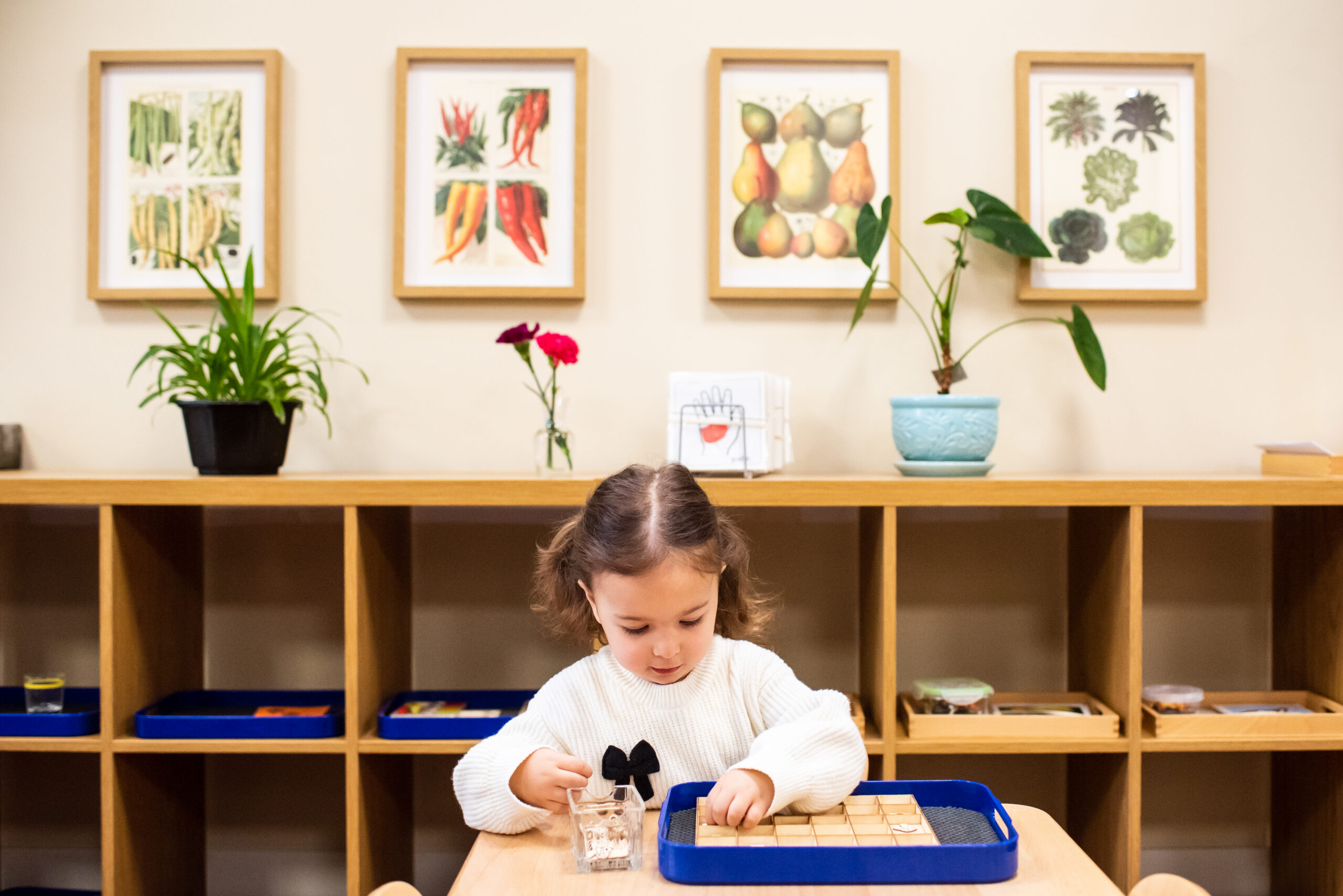 West Island Montessori Academy